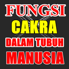 Macam Macam Cakra Dan Fungsinya icono