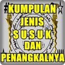APK Jenis Ilmu Susuk  Penangkalnya