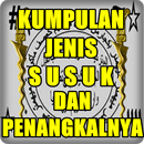 Jenis Ilmu Susuk  Penangkalnya APK