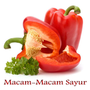 APK Macam macam Sayur