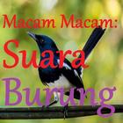 MACAM MACAM SUARA KICAU BURUNG. ícone