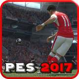 Guides FIFA 17 Soccer icône