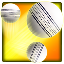 Swipe Cricket APK