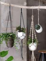 Macrame Plantハンガーのアイデア スクリーンショット 1