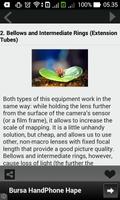 Macro Photography Trick ภาพหน้าจอ 3