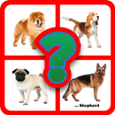 Guess the dog breed APK