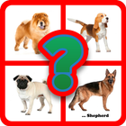 Guess the dog breed-icoon
