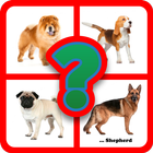 Guess the dog breed icon