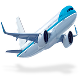 Entering the USA  - Customs and Immigration