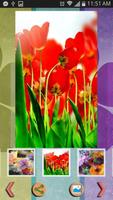 Flowers Wallpapers capture d'écran 2