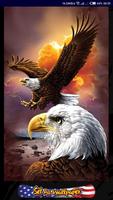 USA Wallpapers HD screenshot 1