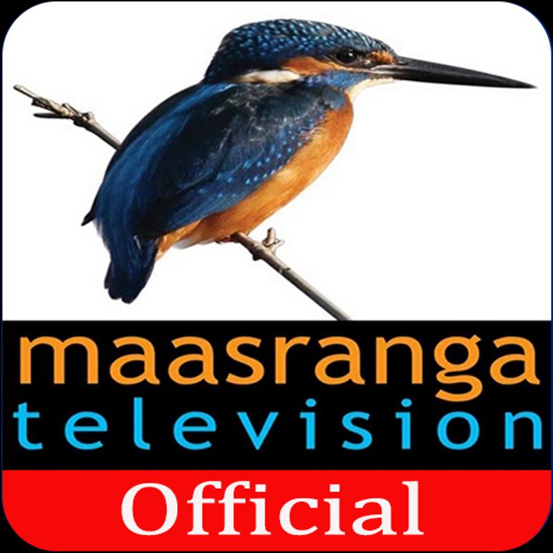 Maasranga TV Official for Android - APK Download - 800 x 800 jpeg 60kB