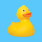 QUACK: Lost Ducks icon