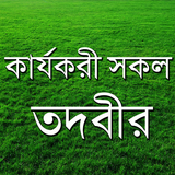 কার্যকরী তদবীর biểu tượng