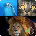 Ruidos de Animales