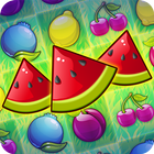 Fruit Party icono