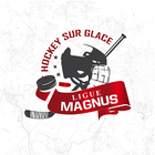 Magnus Live (non-officiel) icon