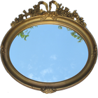 CurvedMirror icon