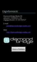 Diamond Bridge magazin capture d'écran 2