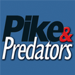 Pike & Predators