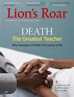 Lion's Roar Magazine poster