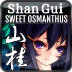 山桂（Shan Gui） アイコン