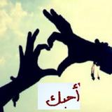 أحببتك اكثر مما ينبغي icon