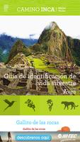 Camino Inca (Machu Picchu) ภาพหน้าจอ 3