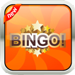 BINGO! Offline Bingo Games