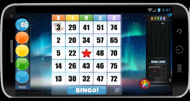 Bingo Bingo