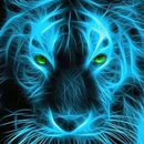 Magic Flaming Tiger Theme APK