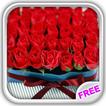 Love Red Roses Live Wallpaper