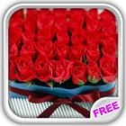 Love Red Roses Live Wallpaper 图标