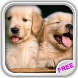 Playful Puppies Live Wallpaper icône