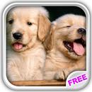 Playful Puppies Live Wallpaper APK