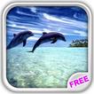 ”Wonderful Dolphins Water Touch