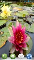 Water Lilies Magic Ripples Affiche