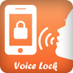 voice screenlock security