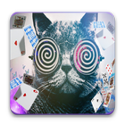 Magic Cat hypnose icône