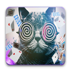 Magic Cat hypnose simgesi