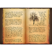 Wicca Magick Book of Shadows