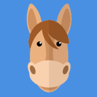 Quizz Horse Poney Horse riding icon