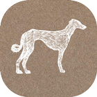 Magic Dog icon