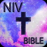 NIV Bible Study Free capture d'écran 3