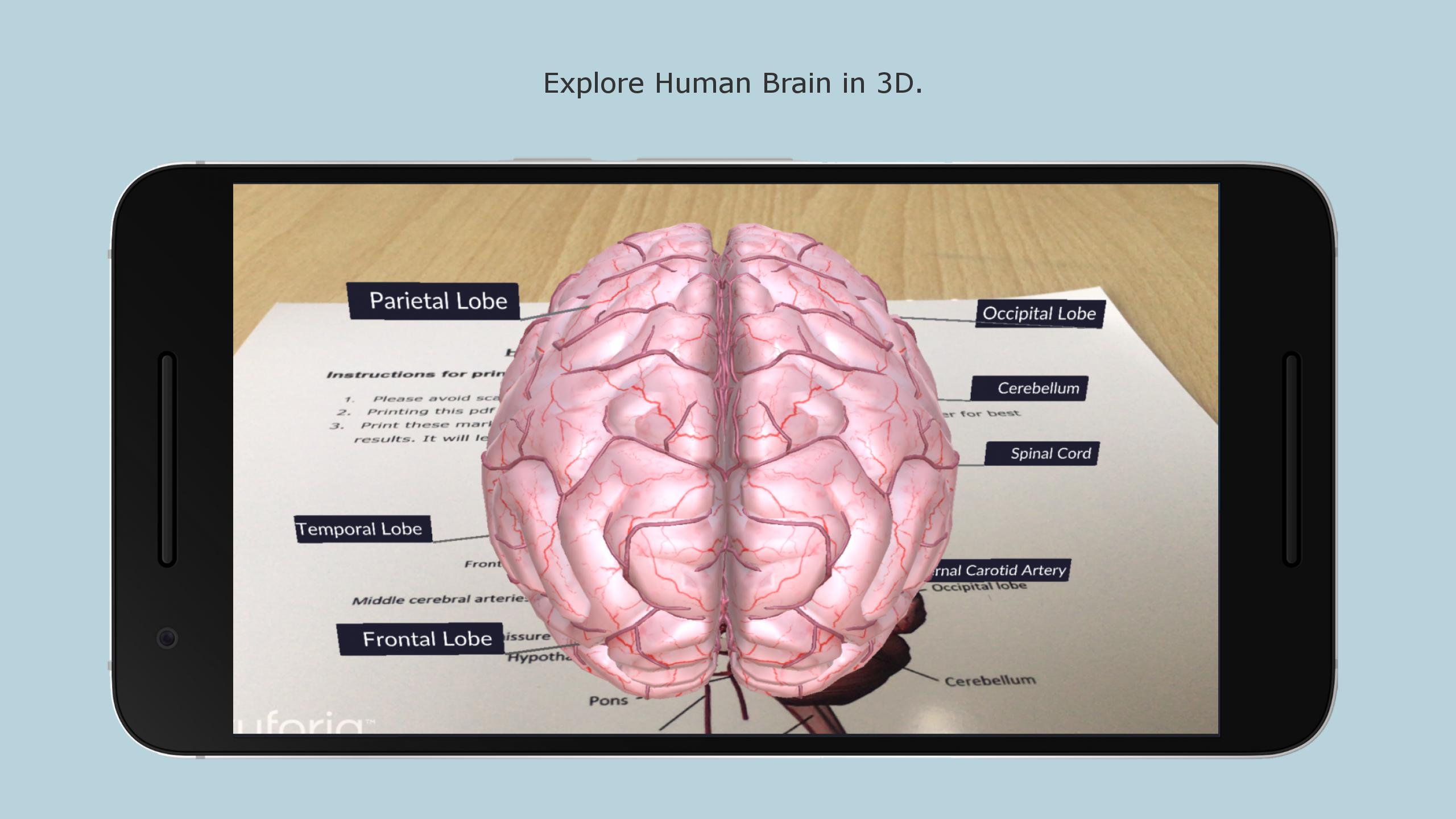 Brain apk