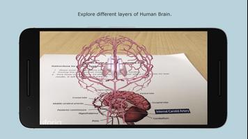 Human Brain imagem de tela 1