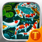 Lively Koi Fish 3D Theme Wallpapers 아이콘