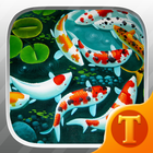 Lively Koi Fish 3D Theme Wallpapers-icoon