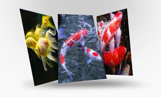 Lively Koi Fish 3D Theme Wallpapers syot layar 2