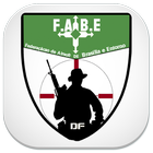 FABE icon